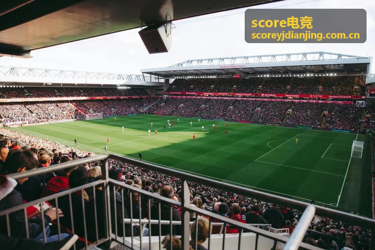 score电竞实时数据引擎